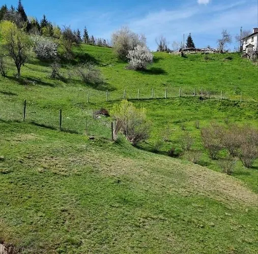 родопска с.чала Pensionat